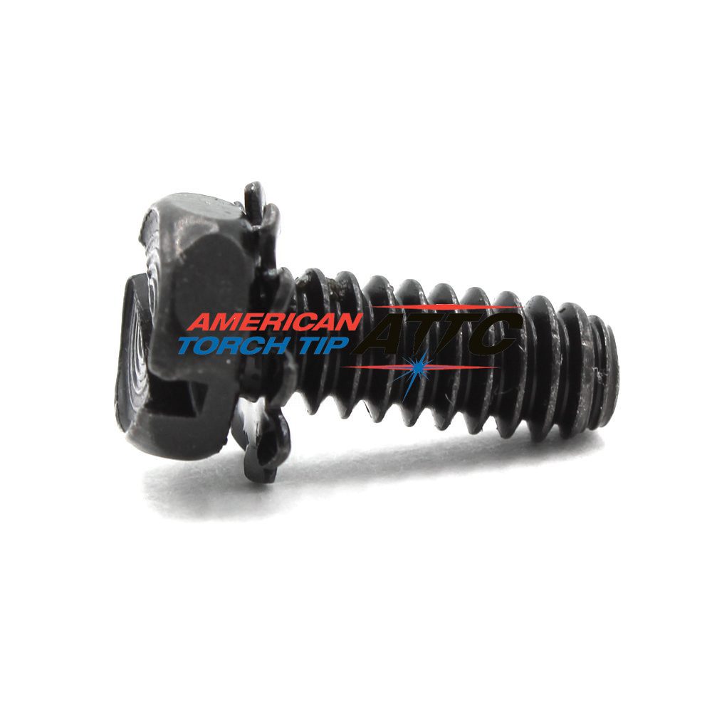 Mounting Screws